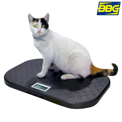 BASCULA PARA VETERINARIAS PET-40