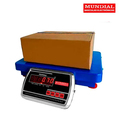 INDICADOR DISPLAY SOLO PESO INALMBRICO LM