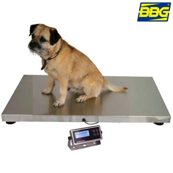 balanza-pesaje-alimentos-Bascula-para-veterinarias-PET-200-BBG-pesar-mascotas