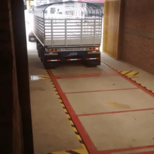 bascula-pesaje-alimentos-Bascula-camionera-en-concreto-BBG-CR